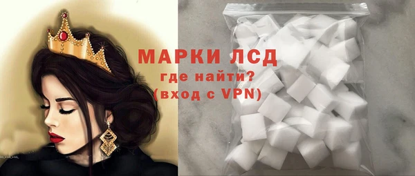 индика Горнозаводск