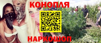 Альфа ПВП Жуковский