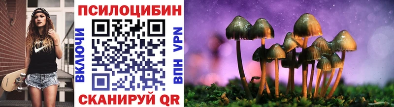 где найти Коломна Галлюциногенные грибы Psilocybine cubensis