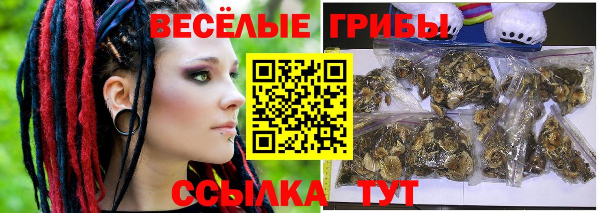 Коломна  Псилоцибиновые грибы GOLDEN TEACHER  Вход с VPN 